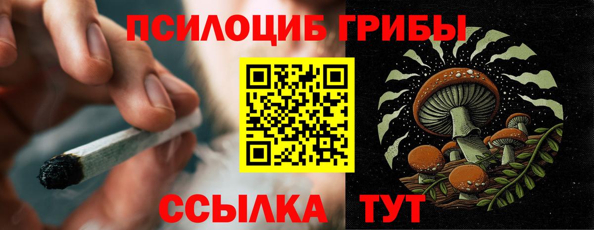 купить закладку  Вход с VPN  Химки  Псилоцибиновые грибы мухоморы 