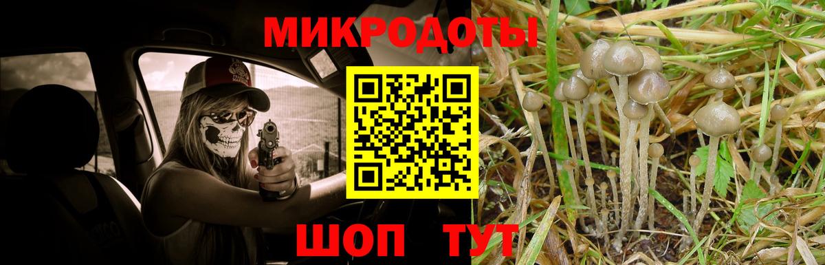 Псилоцибиновые грибы Psilocybe Химки
